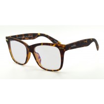 37054-2 C26 Tortoise