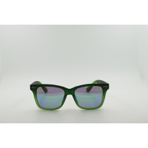 37054-2 C4 -Green Revo