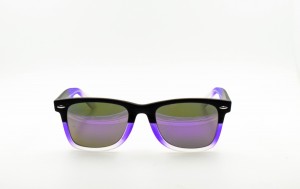 29073-2 C55 V -Purple Revo